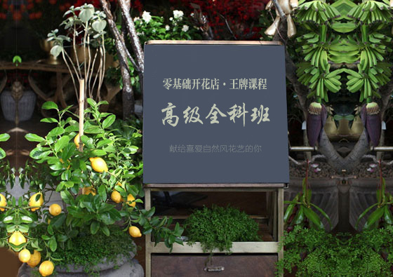 南京最好的花艺培训学校